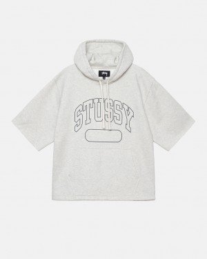 Hanorac cu Gluga Barbati Stussy Ss Boxy Cropped Hoodie Gri | AKE-0095