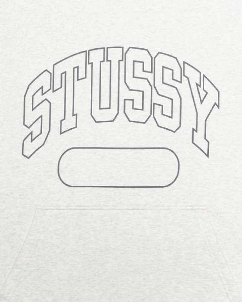 Hanorac cu Gluga Barbati Stussy Ss Boxy Cropped Hoodie Gri | AKE-0095