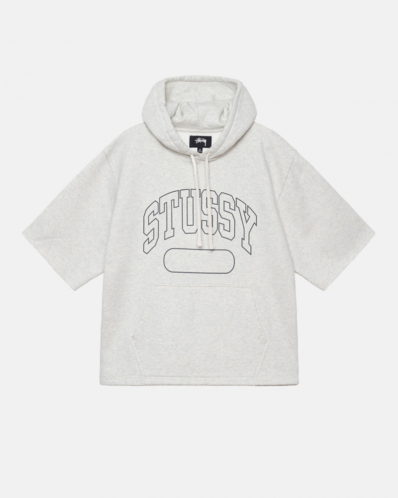 Hanorac cu Gluga Dama Stussy Ss Boxy Cropped Hoodie Gri | XFF-3678