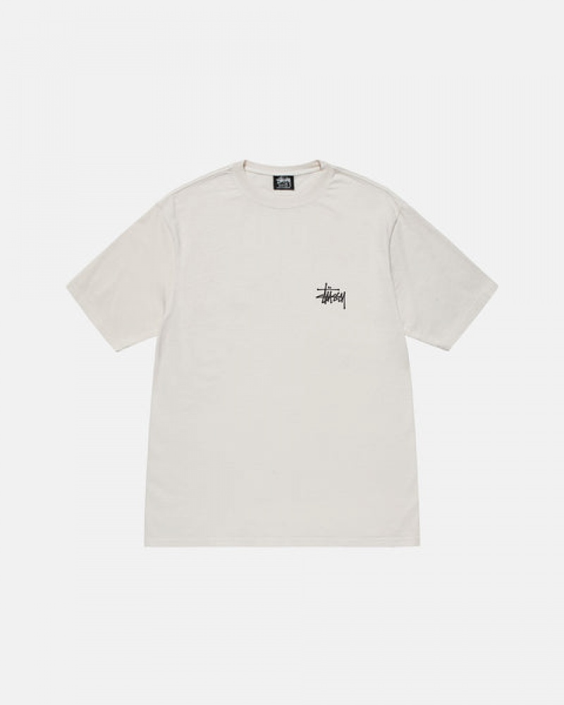 Tricou Barbati Stussy Basic Stussy Tee Bej | RTJ-8684