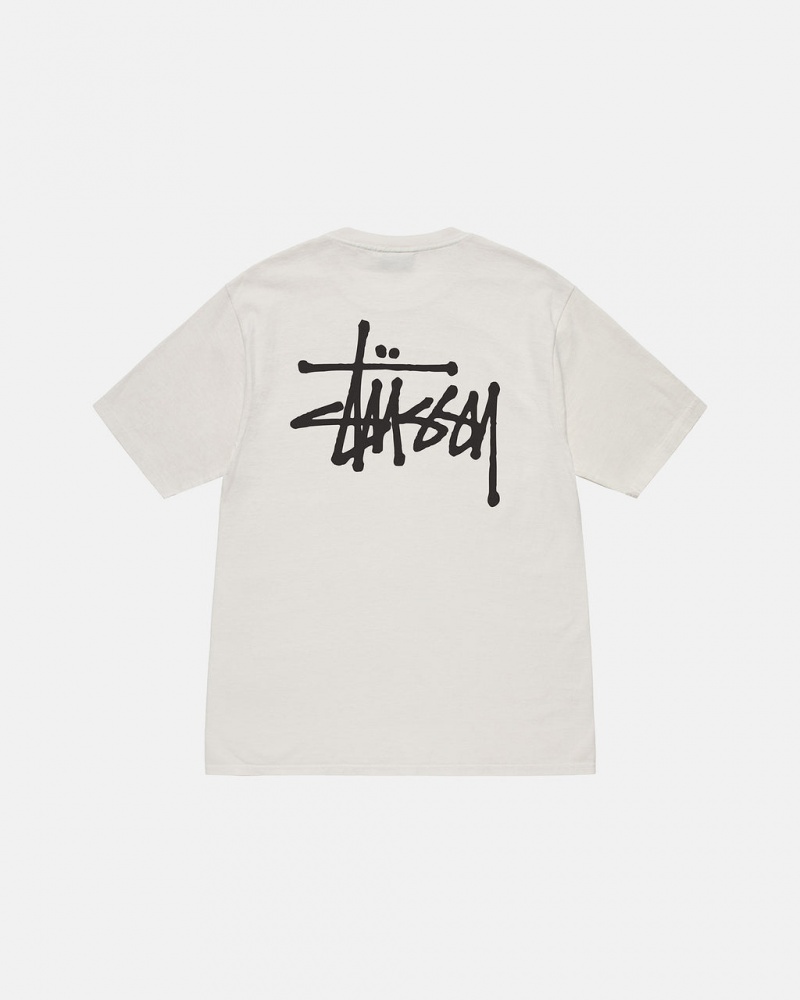 Tricou Barbati Stussy Basic Stussy Tee Bej | RTJ-8684