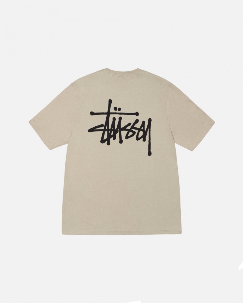 Tricou Dama Stussy Basic Stussy Tee Kaki | MDV-6487